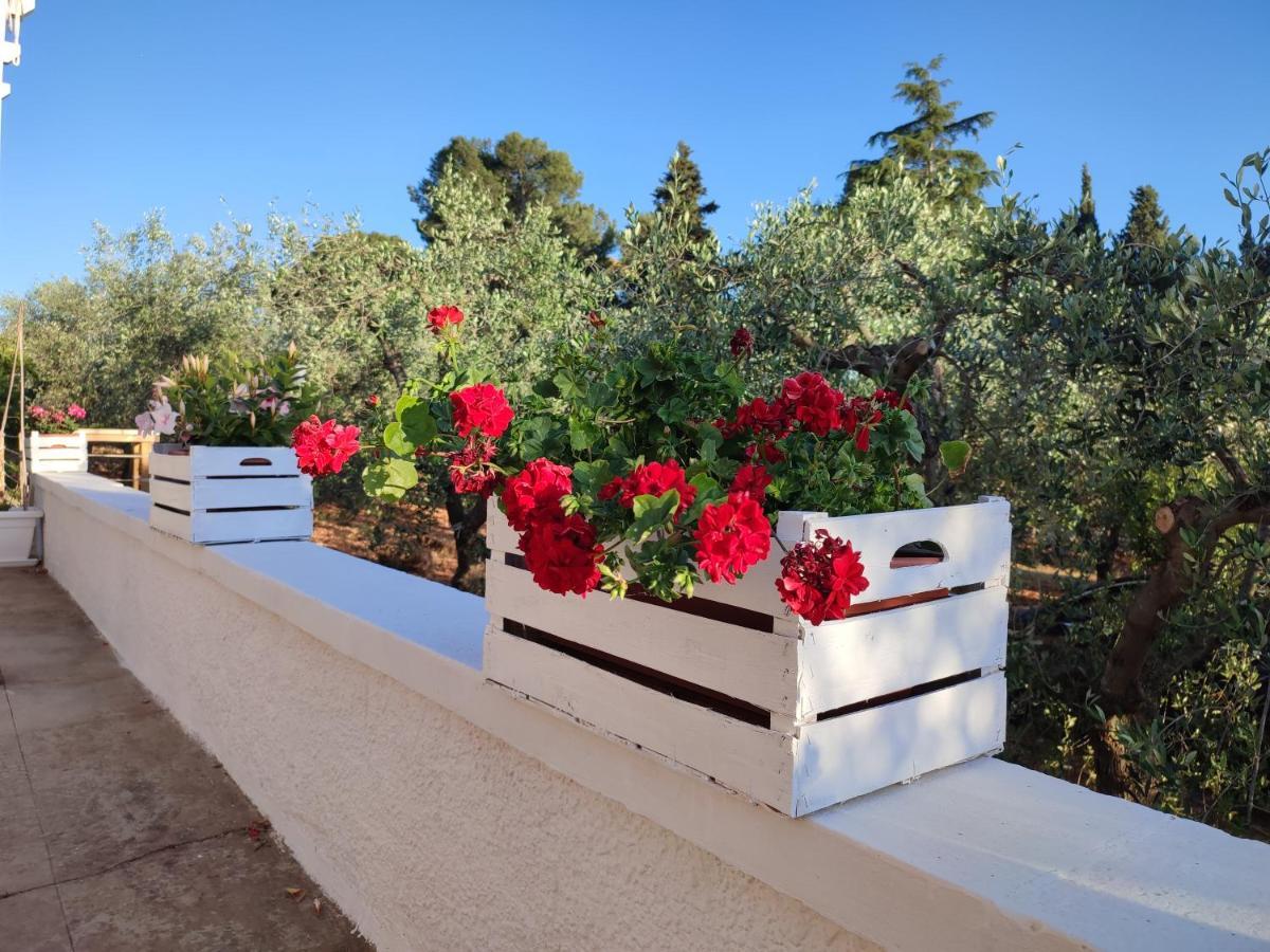 Porta Sugli Ulivi Villa Монополи Екстериор снимка